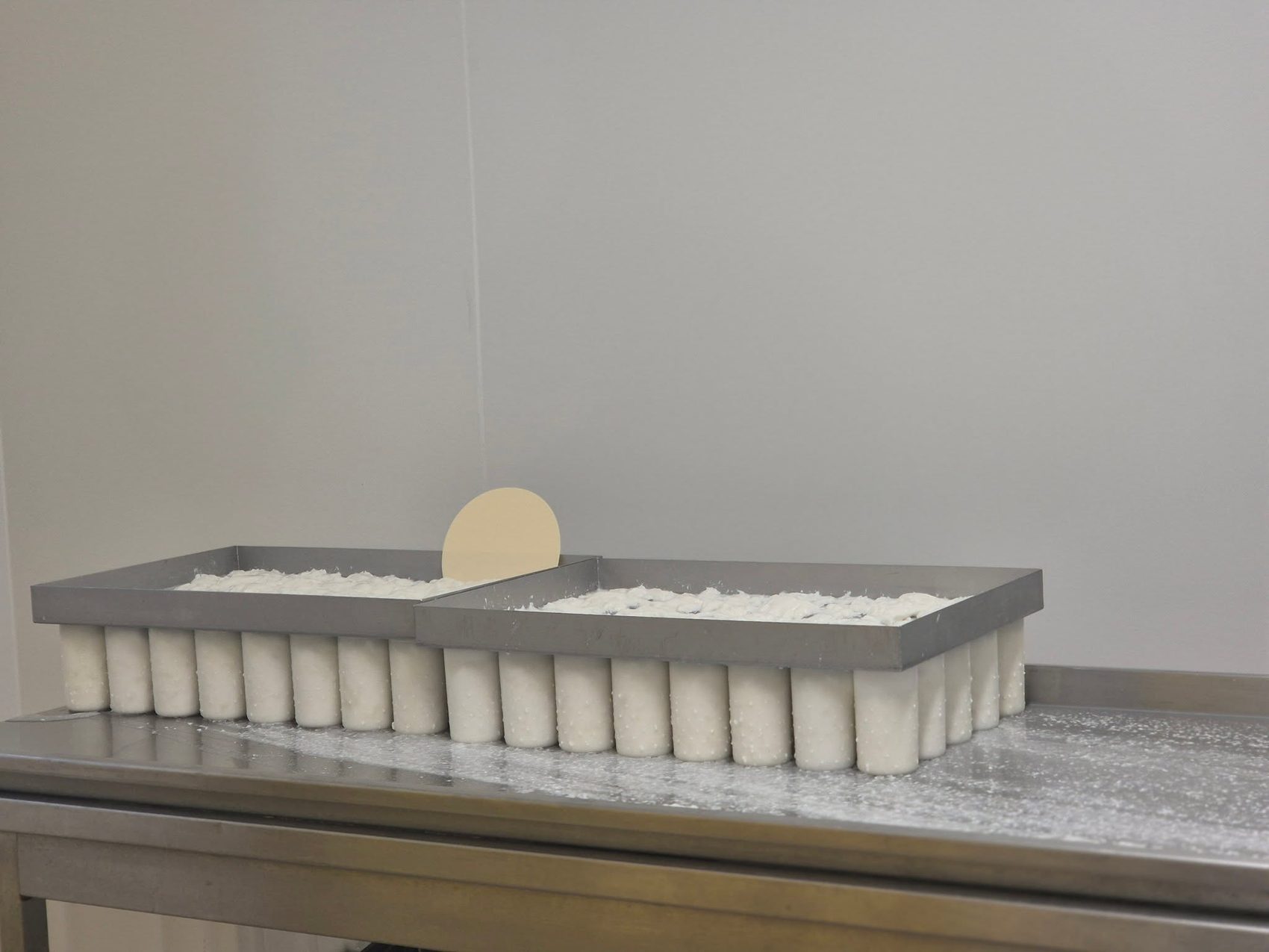 Moules de fromage de chèvre frais en cours de fabrication dans l'atelier de Vodecée